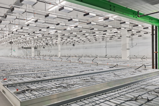 vantage greencare cultivation